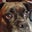 Jose Maria's profile image