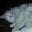 Emmie Ramsden's profile image