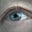 Victoria Wilson's profile image