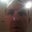 Jody Packer's profile image
