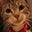 Christina Raquel's profile image