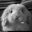 Richelle's profile image