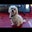 Payal P's profile image