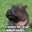 Victor Xavier's profile image
