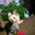 Markiya Quick's profile image