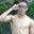 Felipe Souza's profile image