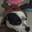 Amber Harter's profile image