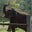 Brian Guffey's profile image