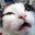 Mark's profile image