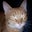 K. Edward Anderson's profile image