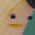 Quailman's profile image