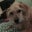 Dan B's profile image