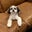 Adam Scherkus's profile image
