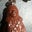 Annie Daugherty's profile image