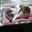 Robin Lippy's profile image