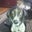 Julie Gryga's profile image