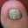 Greg Talbert's profile image