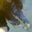 Sara Barrett's profile image