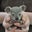 Douglas Rose's profile image