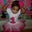 Angie Polanco's profile image