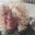 Sevda İZer's profile image
