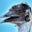 J D's profile image