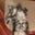 Barbara Marlett's profile image