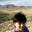 Stacie Grisham's profile image