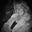 Cinderella Sands's profile image