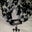 Penny LaBelle's profile image