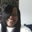 Sonya Evans's profile image