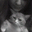Amanda Wolfe's profile image
