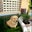 James Stolz's profile image