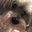 Yvonne L's profile image