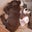 Amy Johnson's profile image