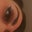 Dinaxomg's profile image