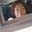 Lisa Eileen's profile image
