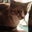 Kira Hathaway's profile image