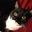 Nancy Barnett Skillman's profile image