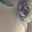 Tiff Prendergast's profile image