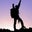 Mike Reichart's profile image