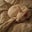 Aubie The Dog's profile image
