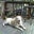 Joyce Sheats's profile image
