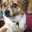 Allison Wilkins's profile image