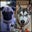 Dark_Ferie 666's profile image