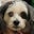 Nancy Quincy McDermott's profile image