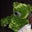 Jose Carlos Leal's profile image