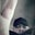 Marcus's profile image