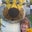 Jennifer Kopp-Wehrend's profile image