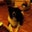 Barbara Tempesta's profile image